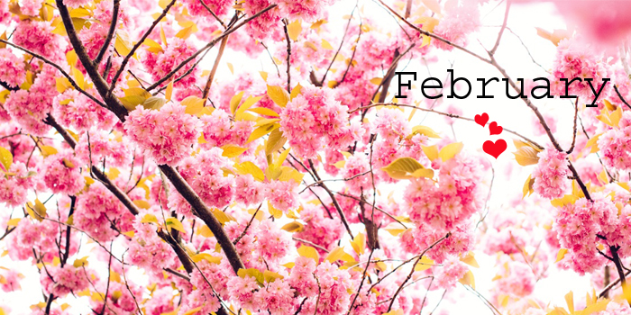 February Competition – Hello Spring! | Maglus Stylus Blog